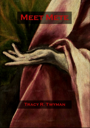 Book Cover Front: Meet Mete by Tracy Twyman