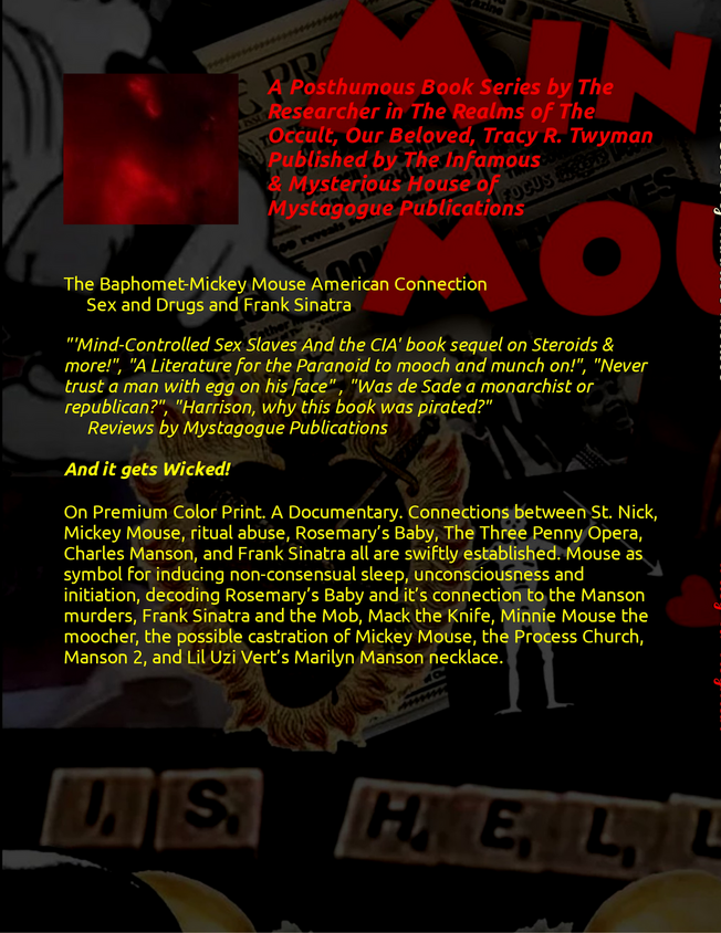 Book Back Cover: The Secret of Minnie's Mousse by Tracy Twyman