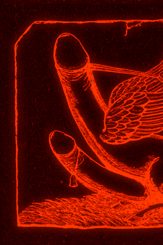 Book Back Cover: During The Middle Ages of Western Europe