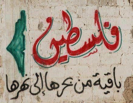Free Palestine Graffiti from Gaza